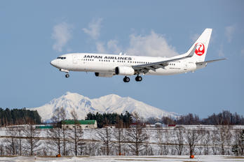 JA317J - JAL - Japan Airlines Boeing 737-800