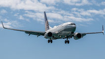 N17753 - United Airlines Boeing 737-700 aircraft