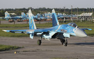 59 BLUE - Ukraine - Air Force Sukhoi Su-27P aircraft