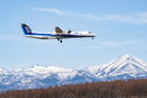Airliners & Mountains 