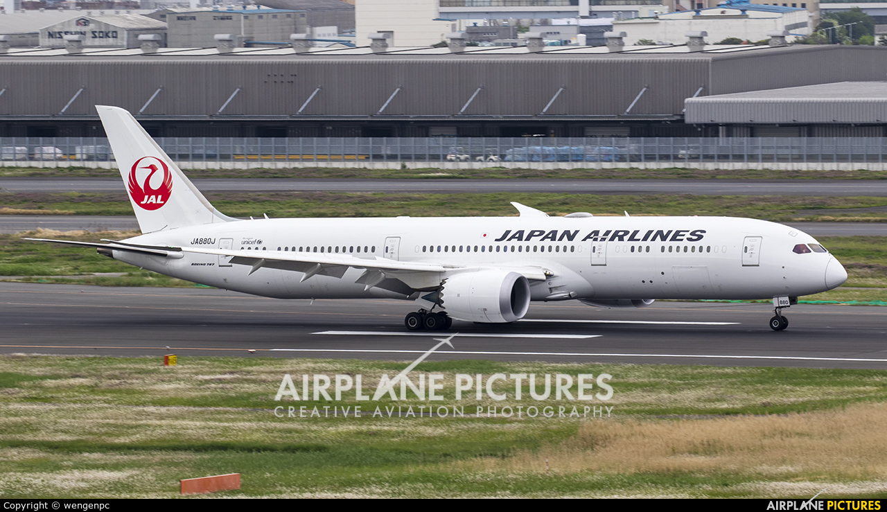 JAL - Japan Airlines JA880J aircraft at Tokyo - Haneda Intl