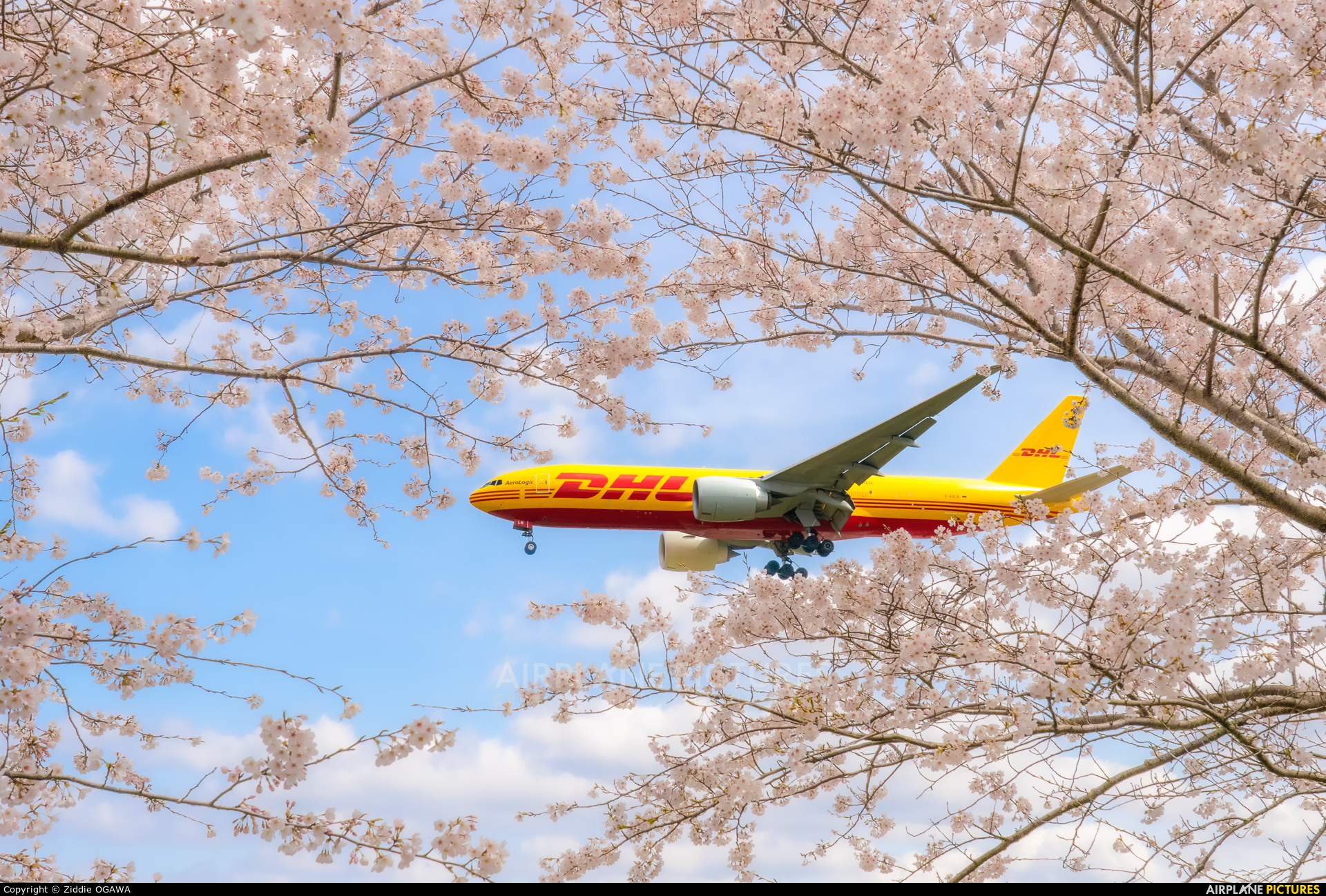 DHL (Aerologic) D-AALM aircraft at Tokyo - Narita Intl
