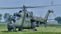 Poland - Army 457 image
