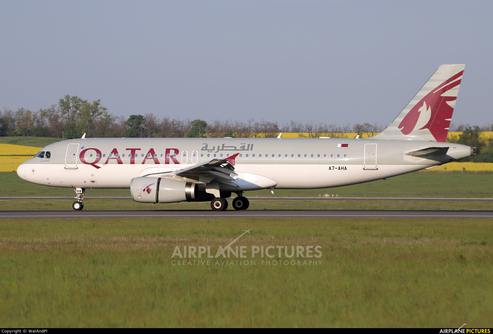 Qatar Airways A7-AHA aircraft at Vienna - Schwechat