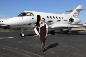 XA-DLN - Private - Aviation Glamour - Flight Attendant