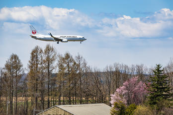 JA310J - JAL - Japan Airlines Boeing 737-800