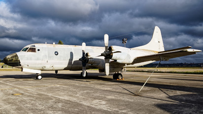14806 - Portugal - Air Force Lockheed P-3P Orion