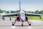 OE-FRB - Red Bull Dassault - Dornier Alpha Jet A aircraft