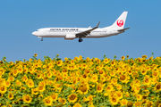 JA344J - JAL - Japan Airlines Boeing 737-800 aircraft