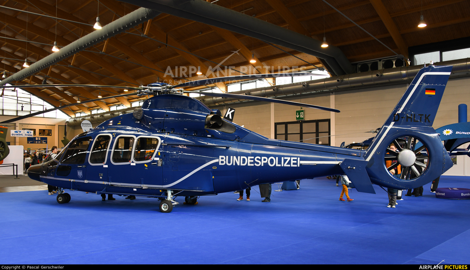 Germany -  Bundespolizei D-HLTK aircraft at Friedrichshafen