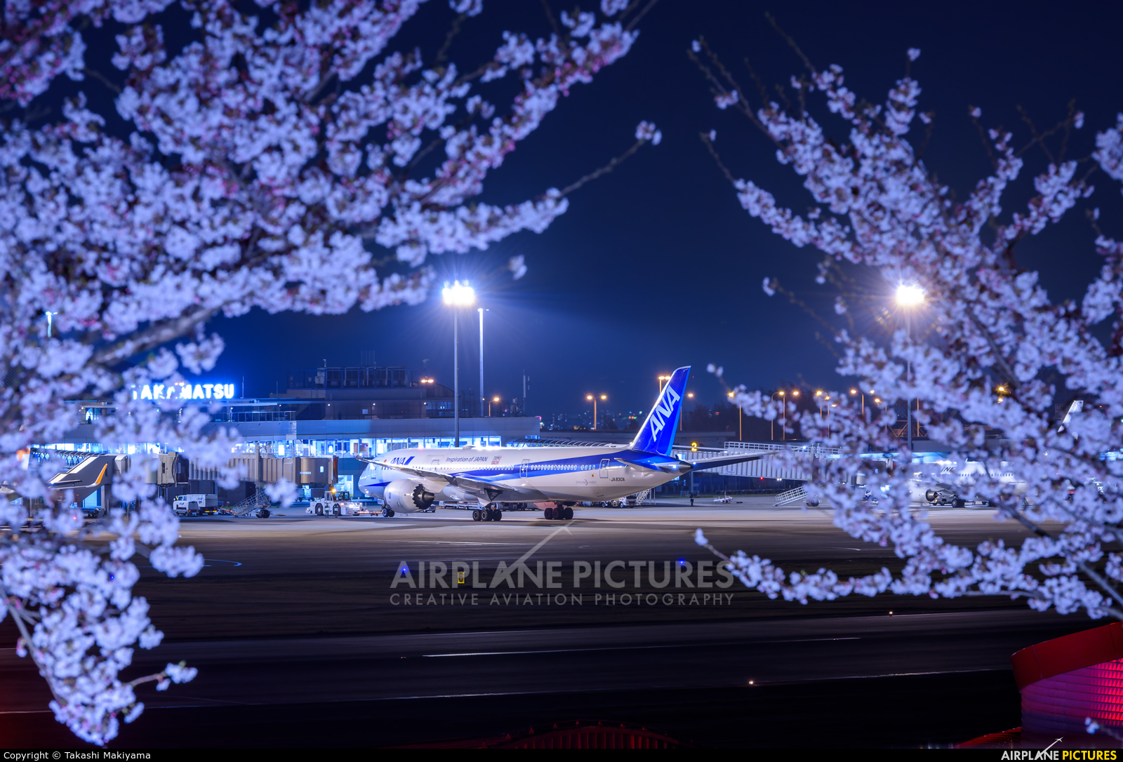 ANA - All Nippon Airways JA830A aircraft at Takamatsu