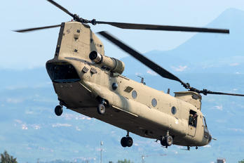D-602 - Netherlands - Air Force Boeing CH-147F Chinook