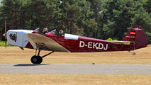 D-EKDJ - Private Klemm Kl 25 aircraft