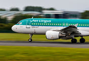 EI-DEF - Aer Lingus Airbus A320 aircraft