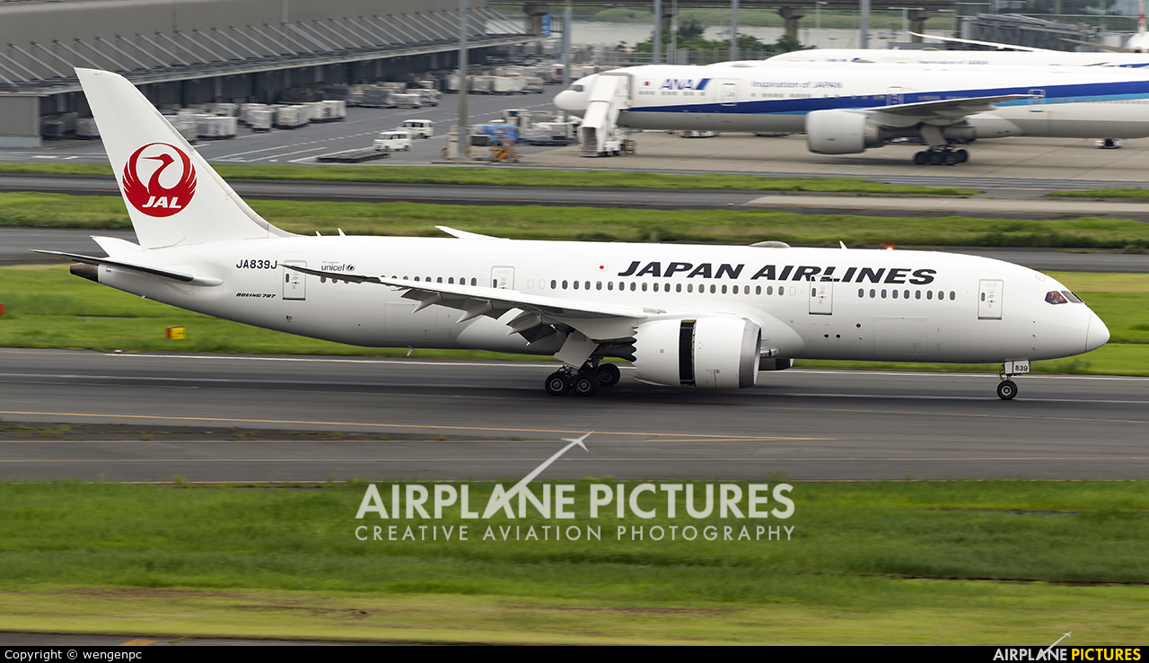 JAL - Japan Airlines JA839J aircraft at Tokyo - Haneda Intl