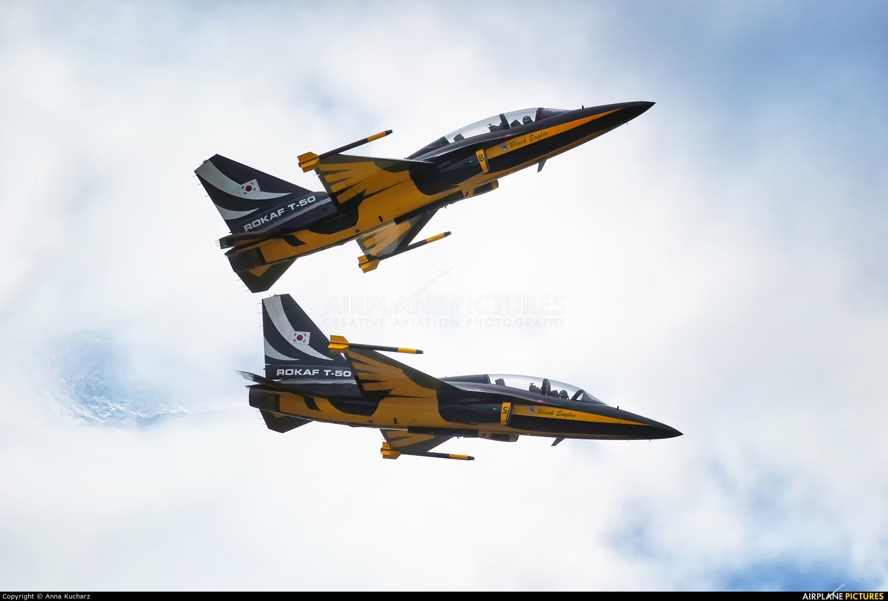 Korea (South) - Air Force: Black Eagles 10-0055 aircraft at Dęblin