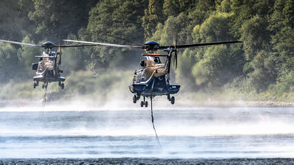 D-HEGT - Bundespolizei Eurocopter AS332 Super Puma