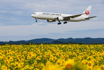 JA656J - JAL - Japan Airlines Boeing 767-300