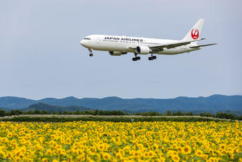 JA654J - JAL - Japan Airlines Boeing 767-300ER
