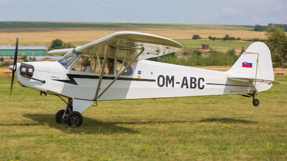 OM-ABC - Private Piper J3 Cub