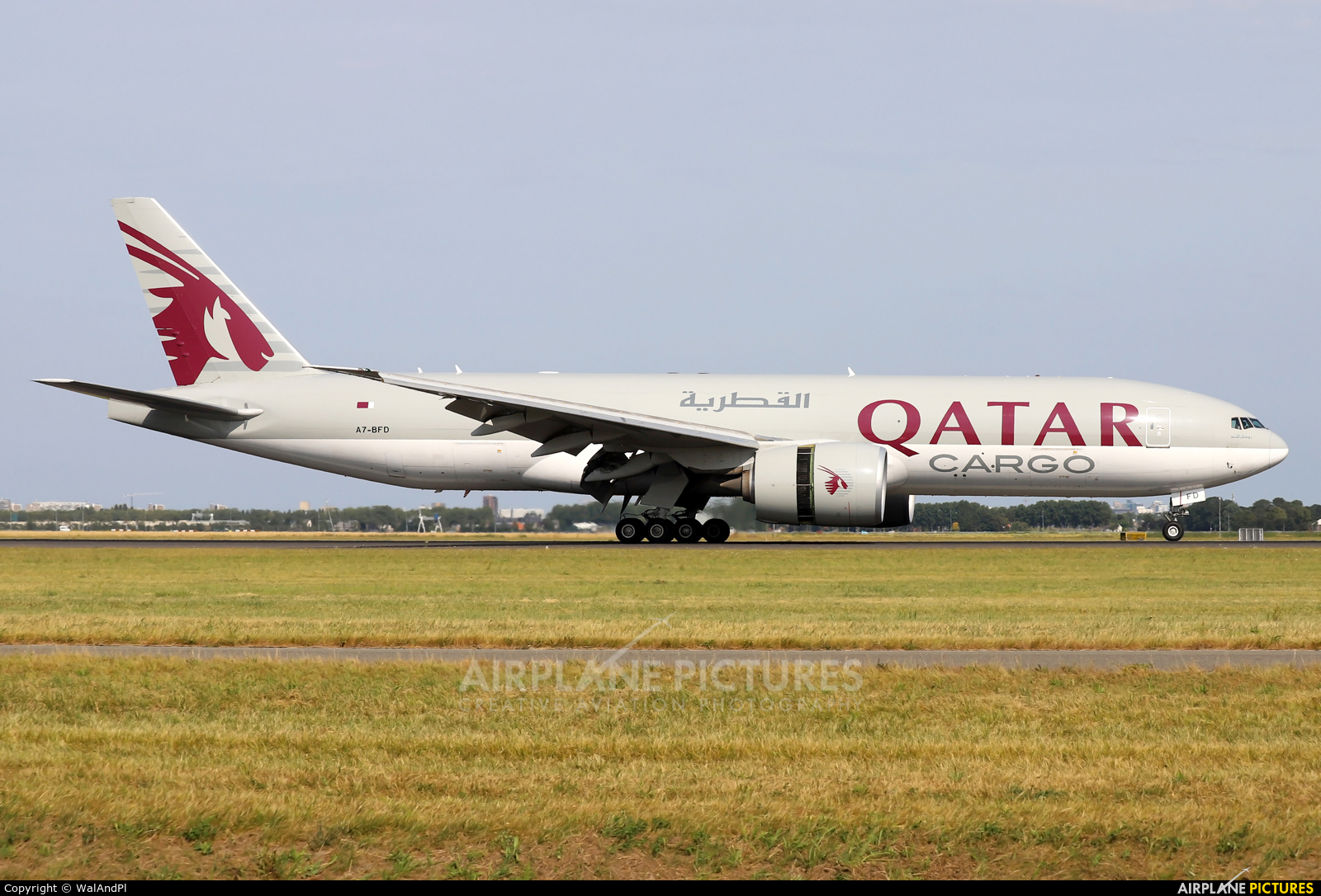 Qatar Airways Cargo A7-BFD aircraft at Amsterdam - Schiphol