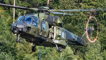 79+20 - Germany - Army NH Industries NH-90 TTH aircraft