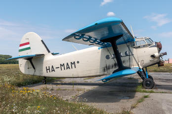 HA-MAM - Untitled PZL An-2