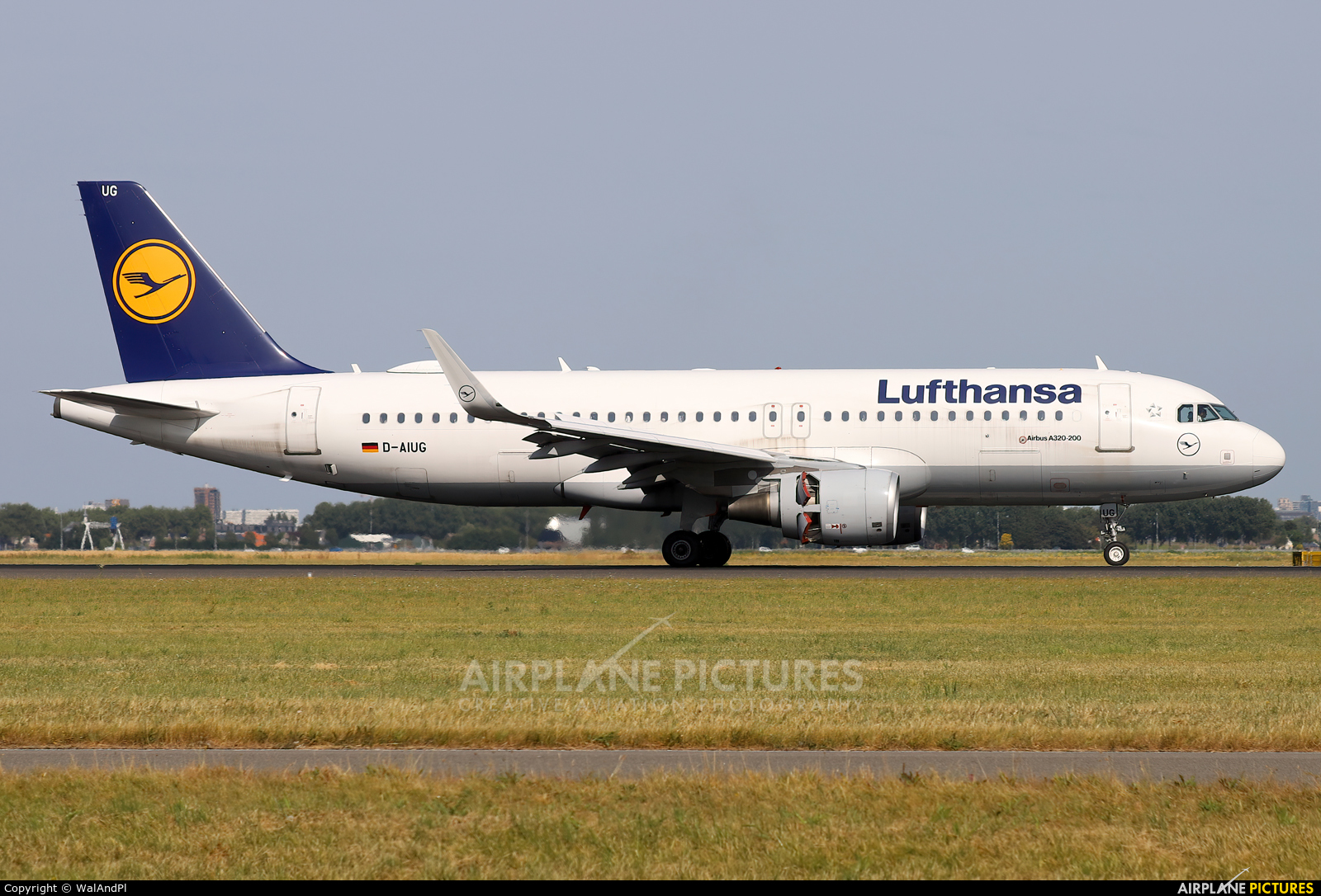 Lufthansa D-AIUG aircraft at Amsterdam - Schiphol