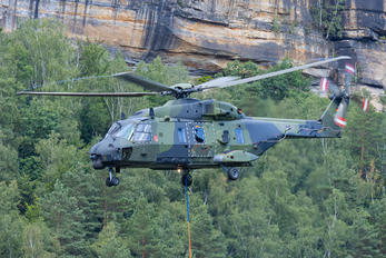 79+40 - Germany - Army NH Industries NH-90 TTH