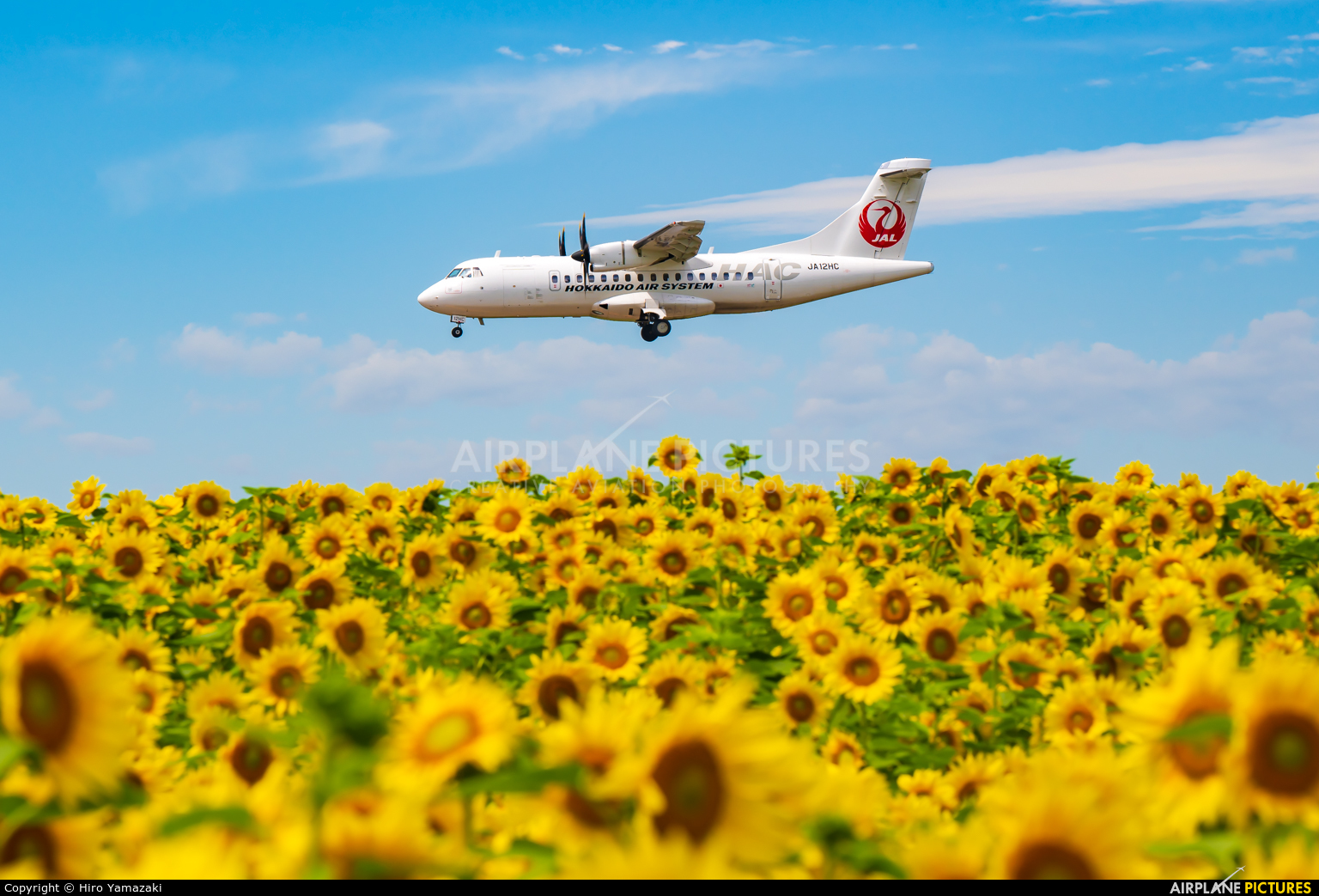 Hokkaido Air System JA12HC aircraft at Memanbetsu