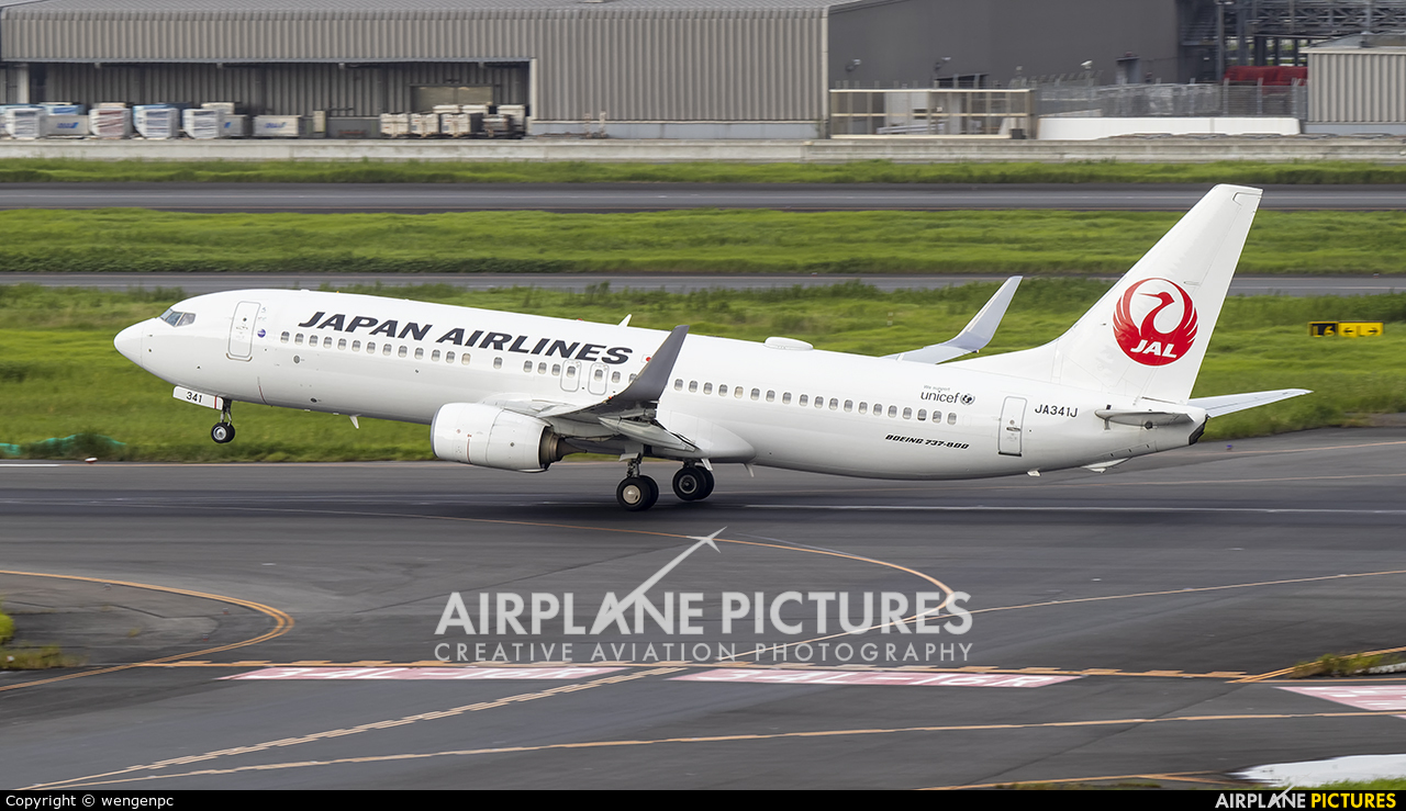 JAL - Japan Airlines JA341J aircraft at Tokyo - Haneda Intl