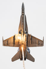 HN-421 - Finland - Air Force McDonnell Douglas F/A-18C Hornet