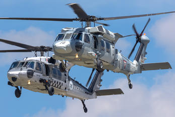 1072 - Mexico - Air Force Sikorsky UH-60M Black Hawk