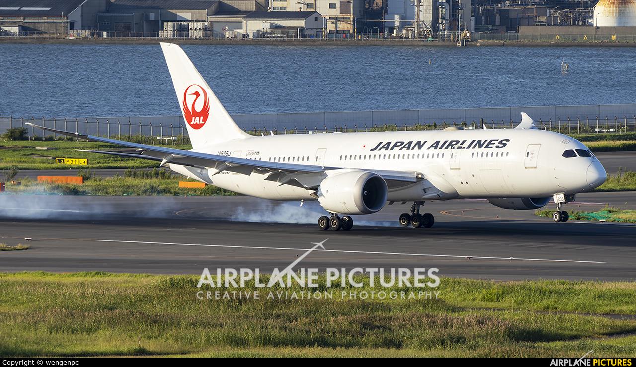 JAL - Japan Airlines JA835J aircraft at Tokyo - Haneda Intl