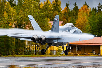HN-453 - Finland - Air Force McDonnell Douglas F-18C Hornet