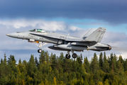HN-404 - Finland - Air Force McDonnell Douglas F/A-18C Hornet aircraft