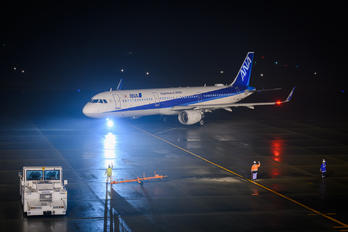 JA114A - ANA - All Nippon Airways - Airport Overview - Apron