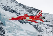 J-3088 - Switzerland - Air Force: Patrouille Suisse Northrop F-5E Tiger II aircraft