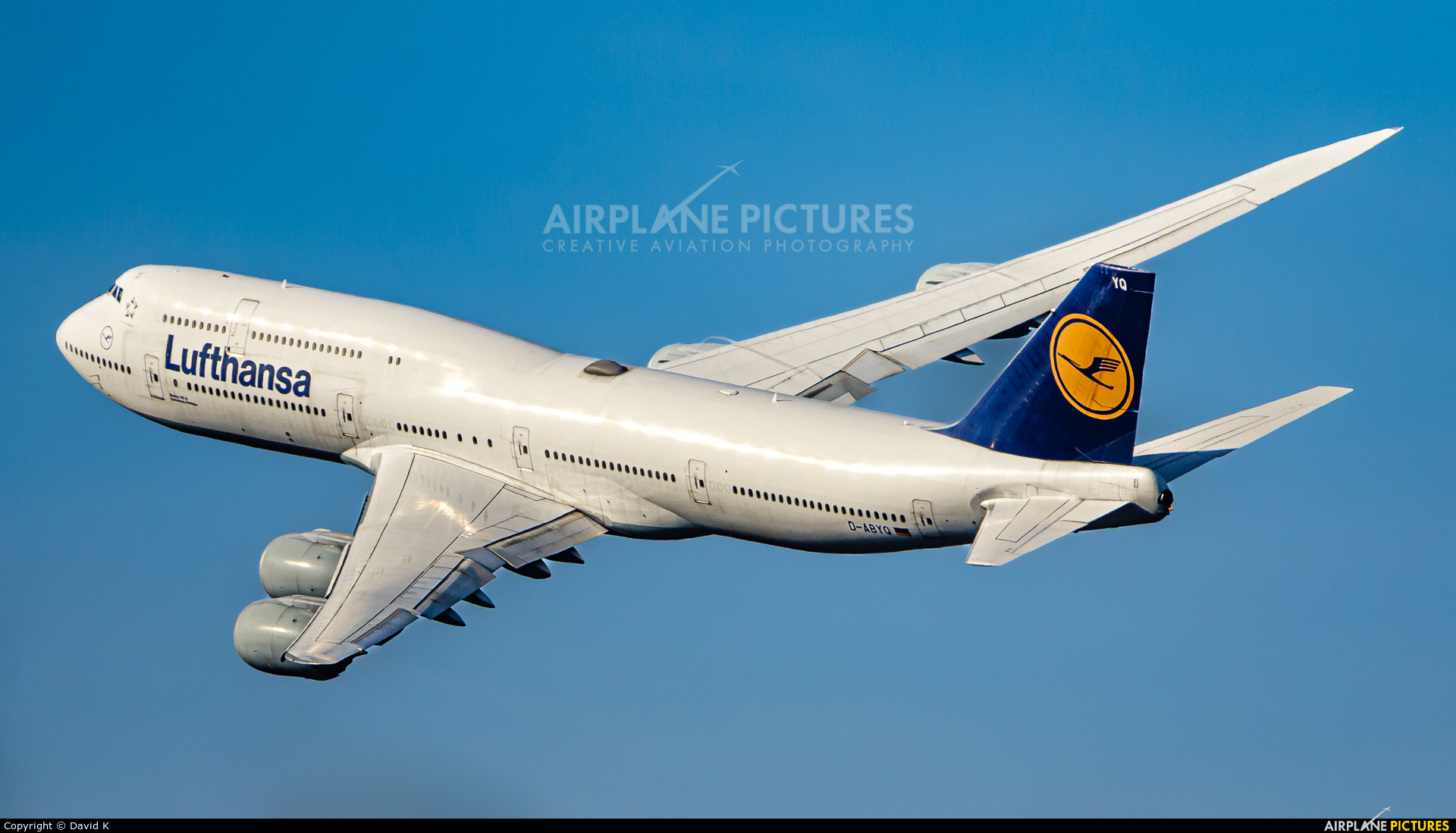 Lufthansa D-ABYQ aircraft at Frankfurt