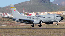 FAC1219 - Colombia - Air Force Boeing 737-700 aircraft