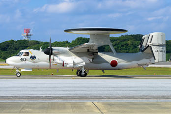 44-3463 - Japan - Air Self Defence Force Grumman E-2C Hawkeye