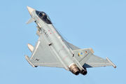 30+53 - Germany - Air Force Eurofighter Typhoon S aircraft