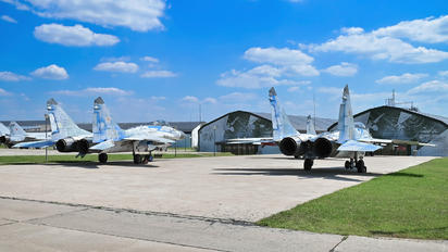 46 - Private Mikoyan-Gurevich MiG-29