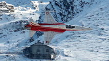 J-3084 - Switzerland - Air Force: Patrouille Suisse Northrop F-5E Tiger II aircraft