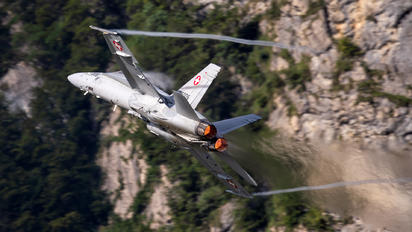 J-5006 - Switzerland - Air Force McDonnell Douglas F/A-18A Hornet