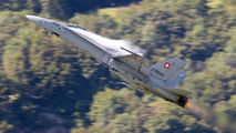 J-5003 - Switzerland - Air Force McDonnell Douglas F/A-18C Hornet aircraft