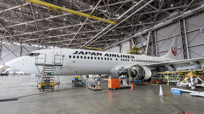 JA332J - JAL - Japan Airlines - Airport Overview - Hangar
