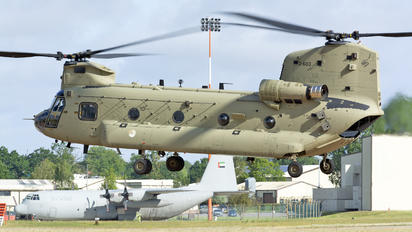 D-603 - Netherlands - Air Force Boeing CH-47F Chinook