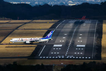 JA608A - ANA - All Nippon Airways - Airport Overview - Overall View