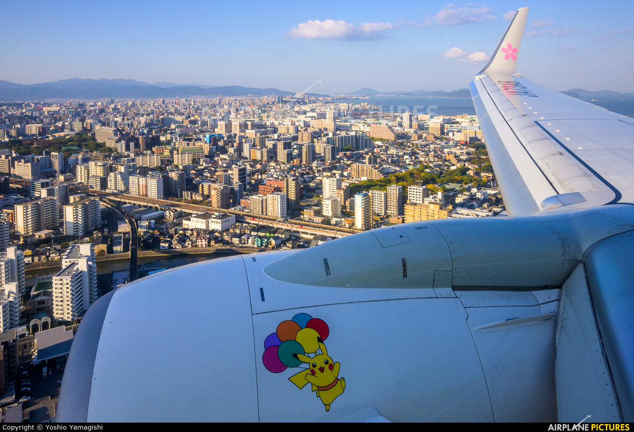 Skymark Airlines JA73AB aircraft at In Flight - Japan